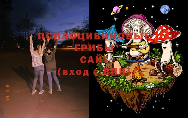 МДПВ Богородицк